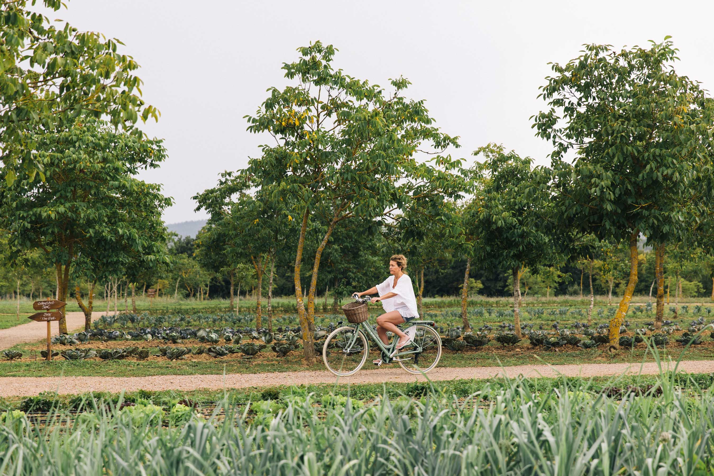 Bicicletta nella tenuta di Borgo Santo Pietro