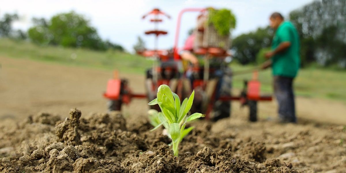 Borgo Santo Pietro fattoria biologica