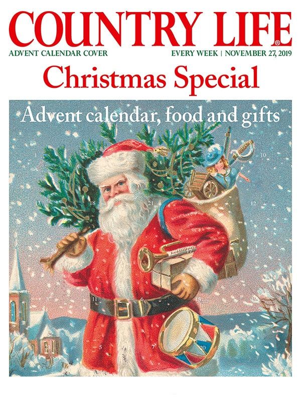 cover country life november